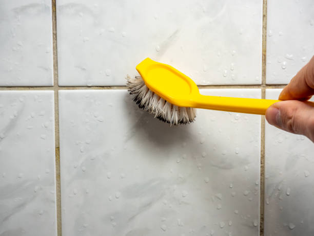 Certified Mold Removal in Sleepy Hollow, CA