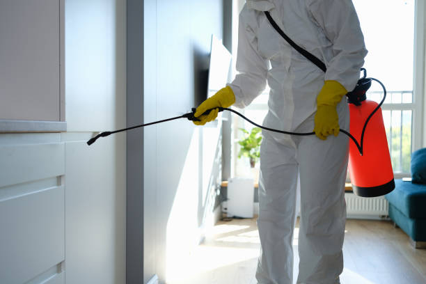 Best Toxic Mold Removal  in Sleepy Hollow, CA