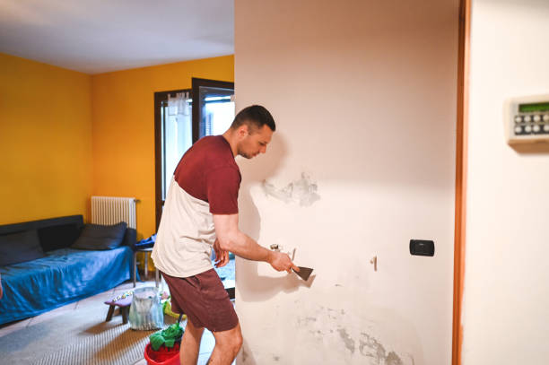 Reliable Sleepy Hollow, CA Mold Removal Solutions